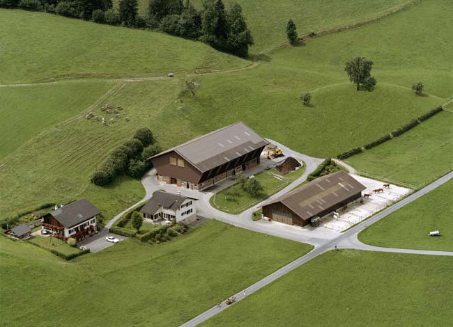 Holzfällers Hoden - Ein Schweizer Erfolgspaar · Treibhaus Luzern